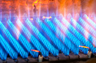Blaenplwyf gas fired boilers